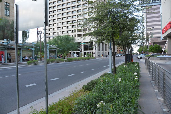 DSC 9006