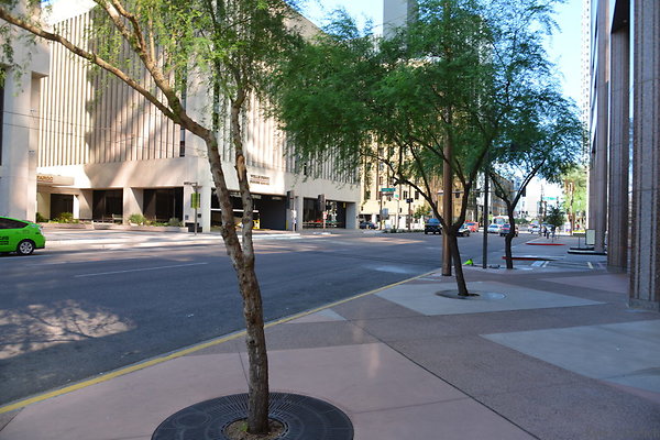 DSC 8788