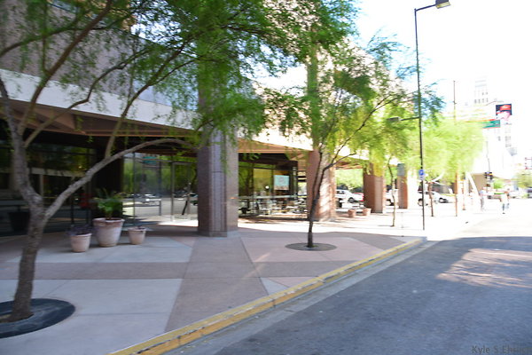 DSC 8815