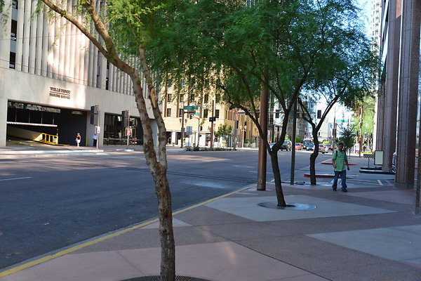 DSC 8785
