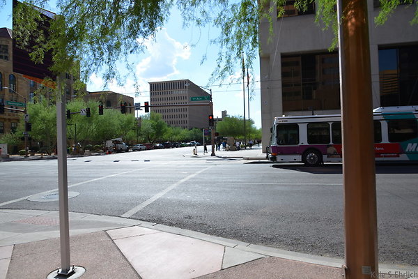 DSC 8838