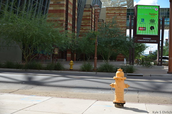 DSC 1486