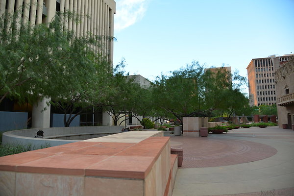 DSC 7308