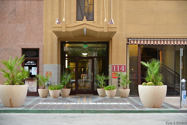 DSC 7341