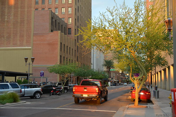 DSC 7319