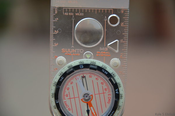 DSC 7305