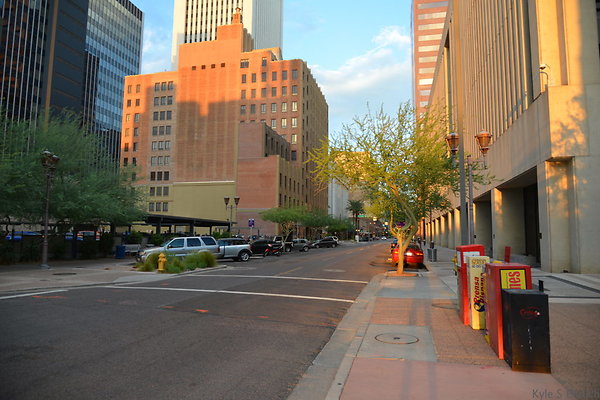 DSC 7312