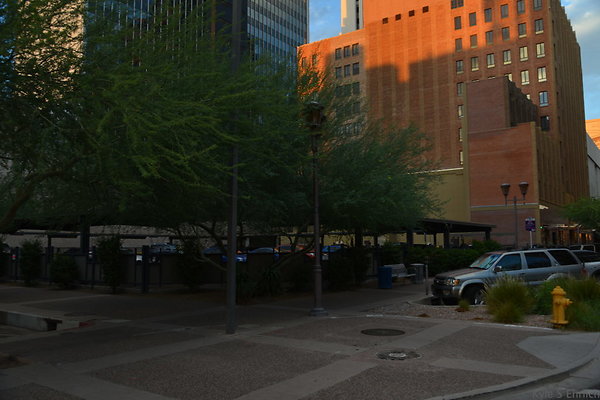 DSC 7323
