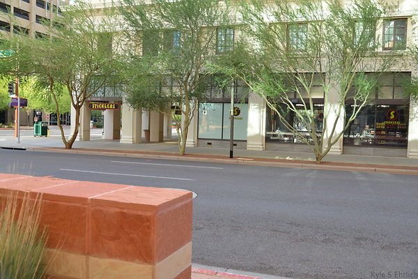 DSC 7206