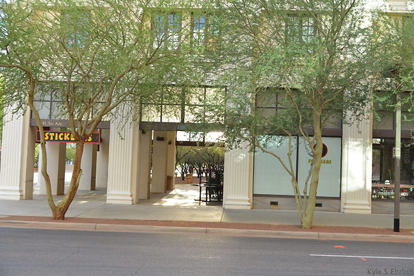 DSC 7199
