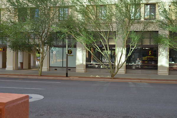DSC 7207