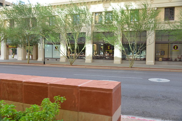DSC 7210