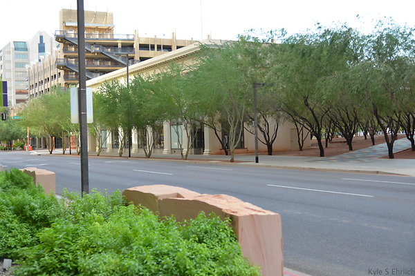 DSC 7236