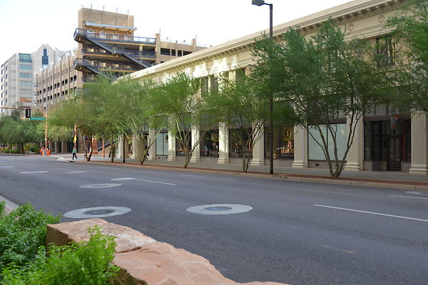 DSC 7225