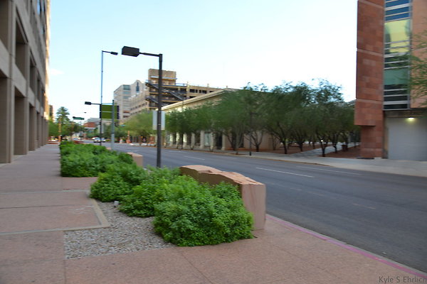 DSC 7239