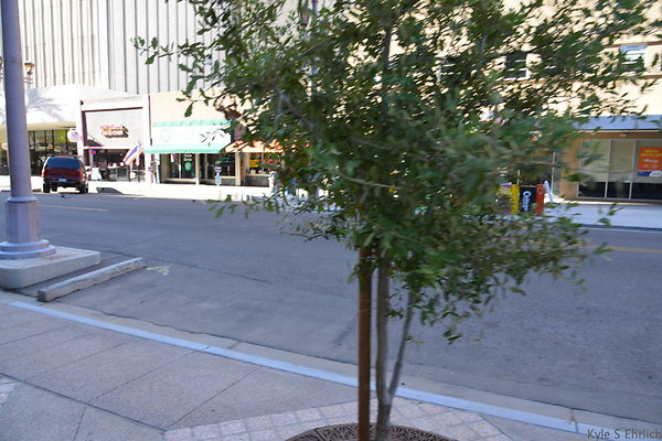 DSC 9075