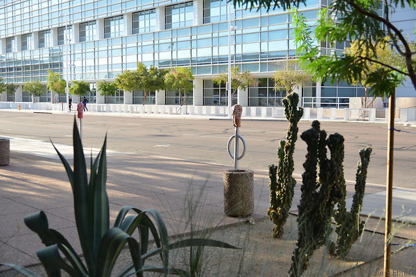DSC 7111