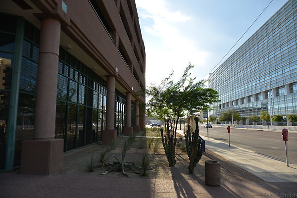 DSC 7106