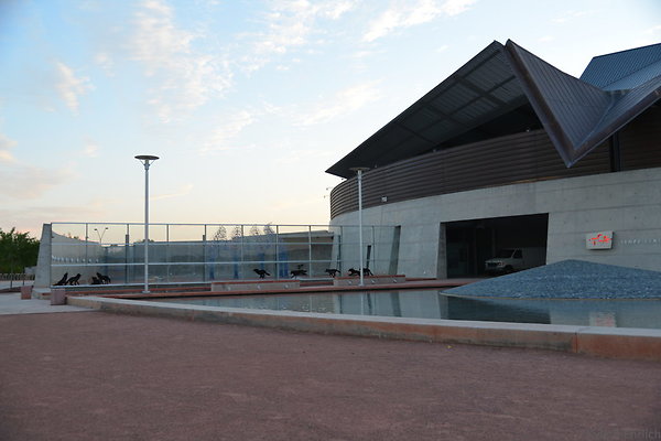 DSC 3670