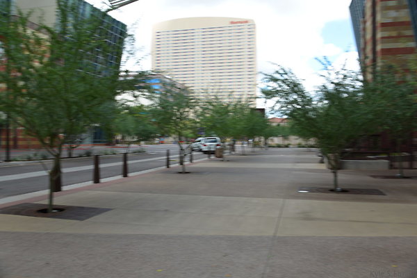 DSC 1762
