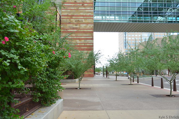 DSC 1768