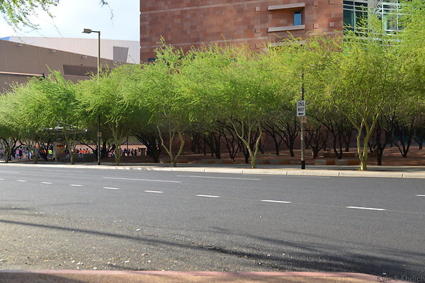 DSC 6810