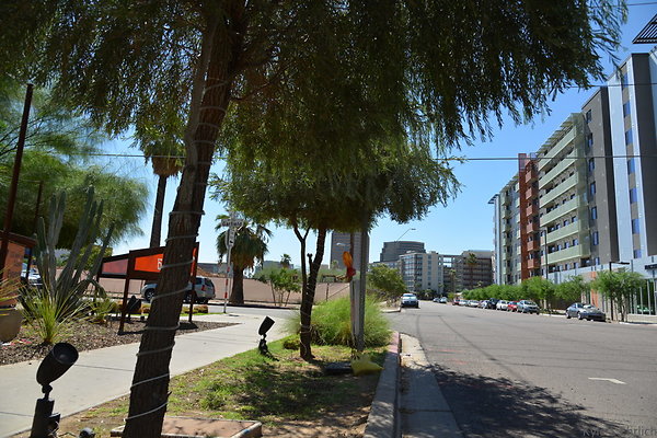 DSC 0229