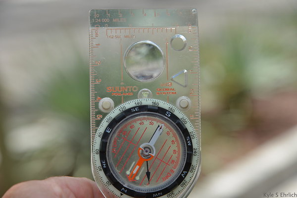 DSC 1699