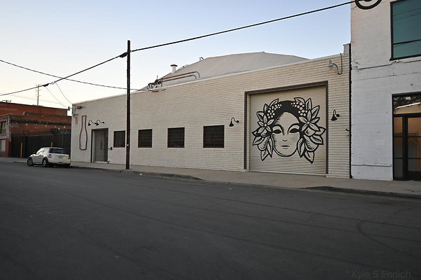 DSC 4331