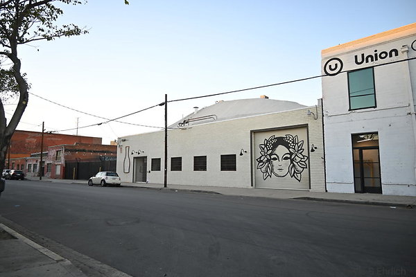 DSC 4319