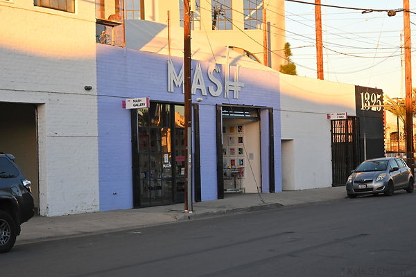DSC 4255