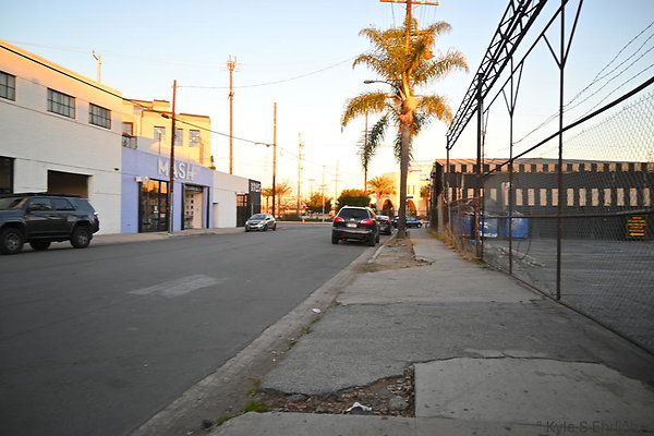 DSC 4355