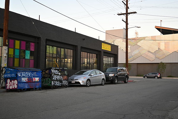 DSC 4466