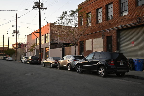 DSC 8081