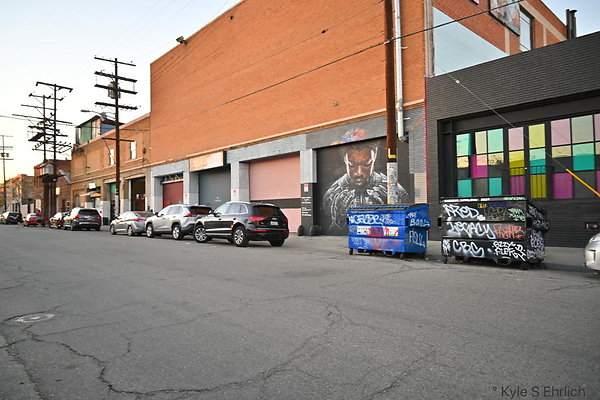 DSC 4541