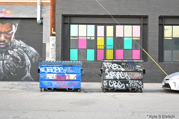 DSC 4537
