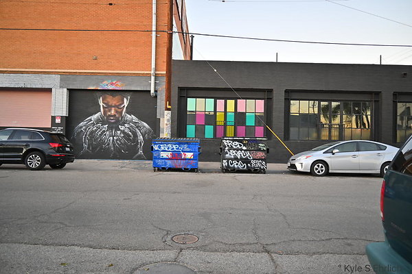 DSC 4535