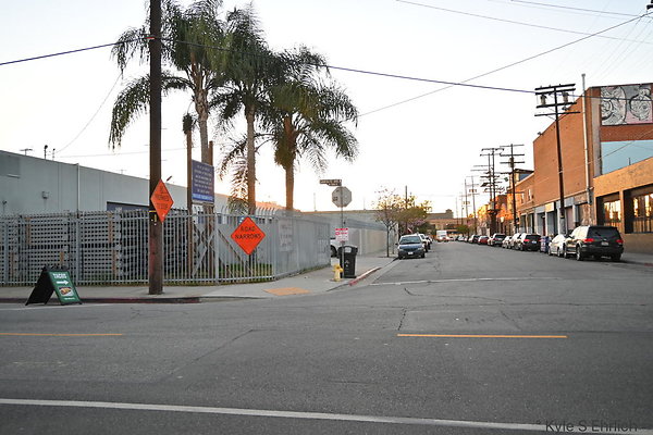 DSC 4387
