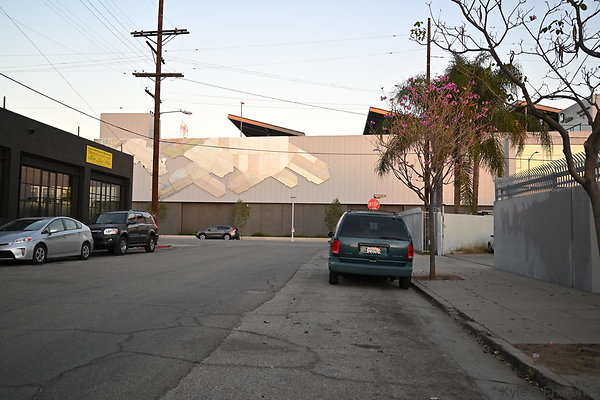 DSC 4470