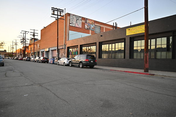 DSC 4411