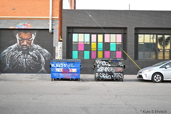 DSC 4536
