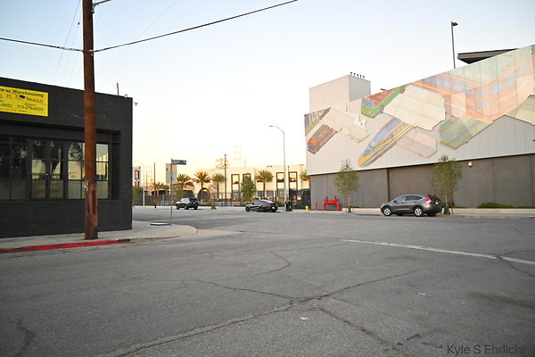 DSC 4555