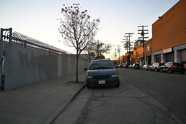 DSC 4426