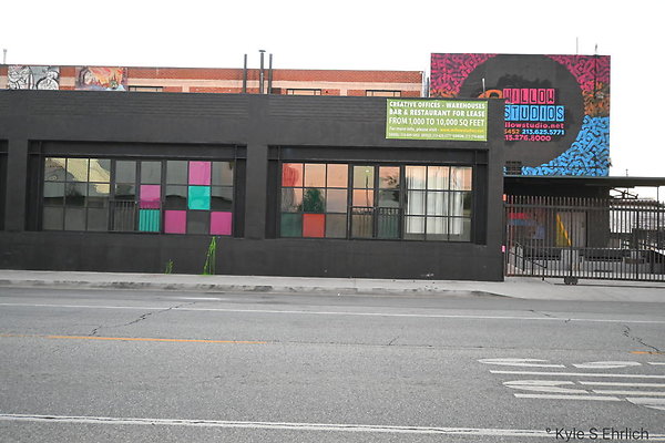 DSC 4641