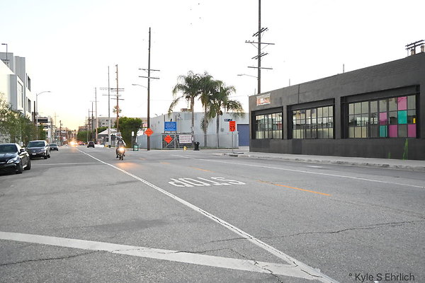 DSC 4655