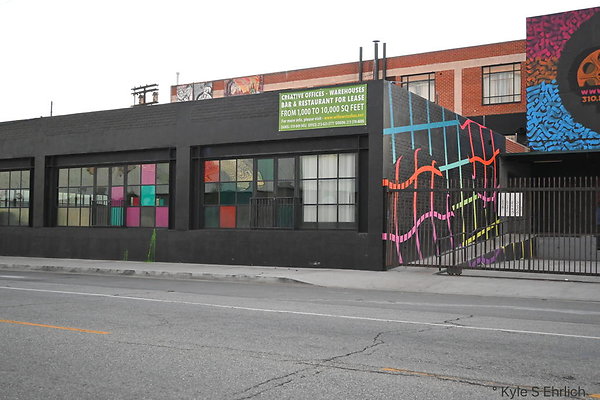 DSC 4650