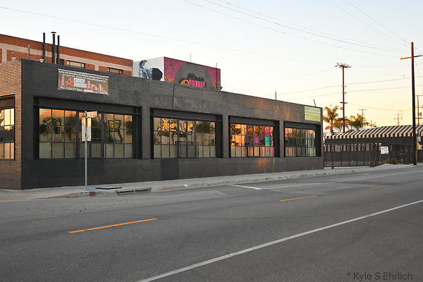 DSC 4391