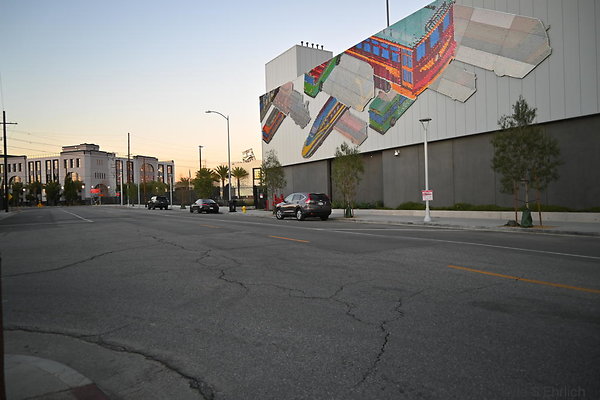 DSC 4603