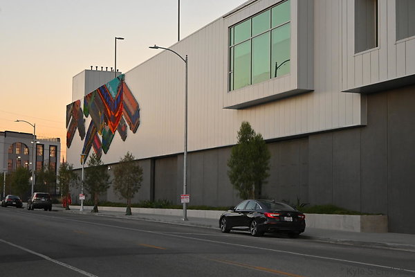 DSC 4575