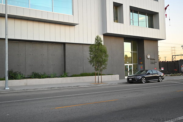 DSC 4602